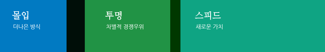 한솔그룹 기업 원칙으로 몰입,투명,스피드가 있으며,각각 더 나은 방식, 차별적 경쟁우위, 새로운 가치의 의미를 갖고 있습니다.